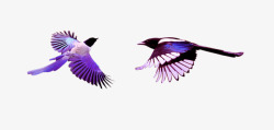 紫色七夕两只喜鹊高清图片