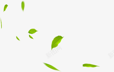 夏日摄影绿叶植物飘散png免抠素材_新图网 https://ixintu.com 夏日 摄影 植物 绿叶 飘散