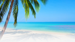 摄影沙滩蓝色海边椰子树素材