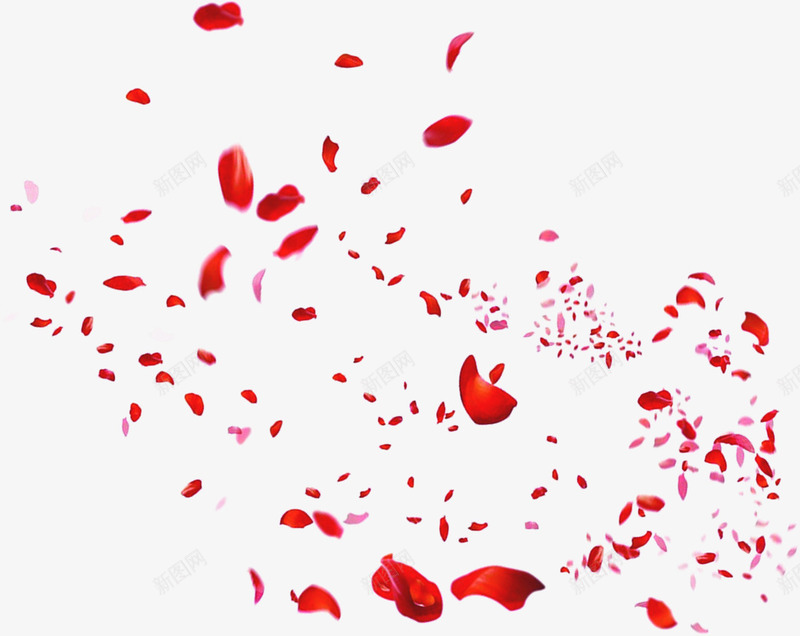 飞舞的红色玫瑰花瓣png免抠素材_新图网 https://ixintu.com 玫瑰 红色 花瓣 花飘落 飞舞