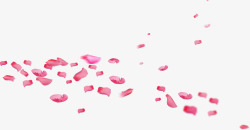 铺满铺满地方粉色花瓣中秋高清图片