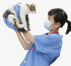 戴口罩的人小猫兽医高清图片