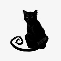 猫免扣图黑色猫图高清图片