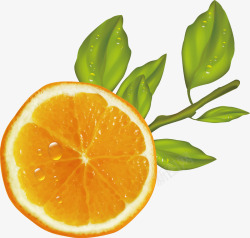 多汁柚子海报新鲜的鲜橙汁矢量图高清图片