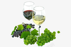 葡萄和葡萄酒透明背景底图素材