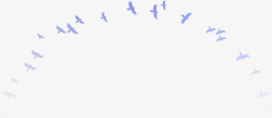 紫色喜鹊燕子鸟类素材