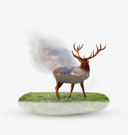 夜晚森林创意插画保护环境燃烧的鹿插画高清图片