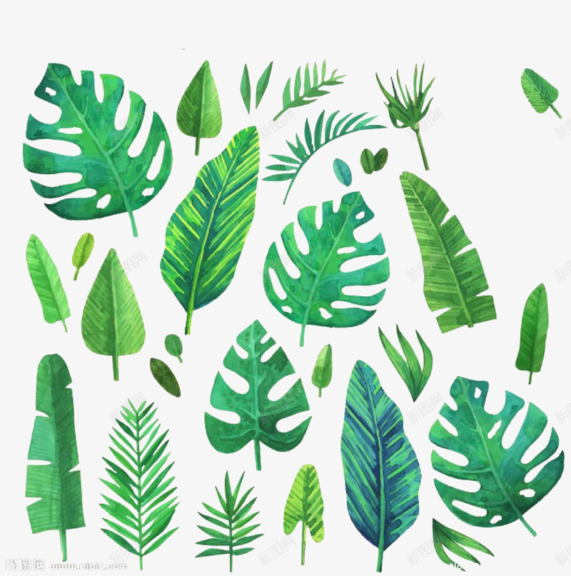 绿色植物叶子装饰图标png_新图网 https://ixintu.com 叶子 小元素 植物 绿叶 绿色