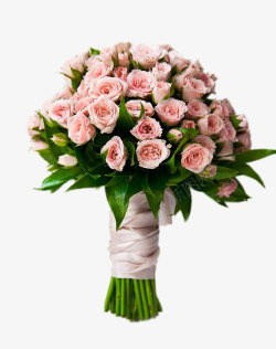 高清花卉月季一束粉色玫瑰花高清图片