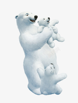 反毛皮北极熊一家高清图片