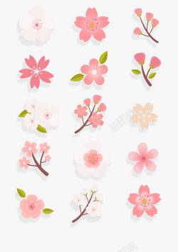 漂浮樱花樱花透明装饰高清图片