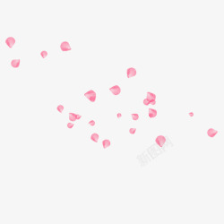 粉红色花朵花瓣春季踏青旅行花朵花卉图案高清图片