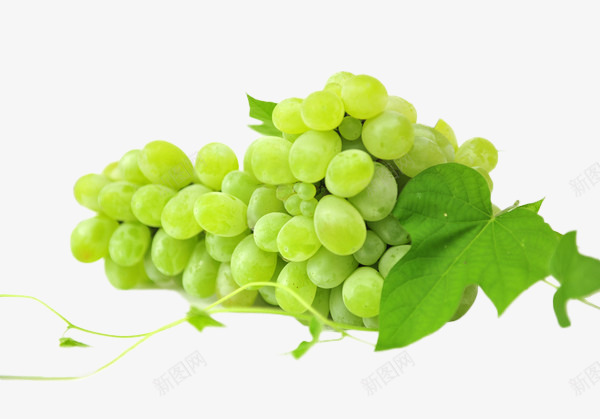 一串青葡萄png免抠素材_新图网 https://ixintu.com 卡通 卡通提子 叶子 手绘 果实 水果 简图 绿色的 葡萄