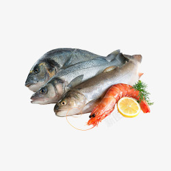 食物肉类鸡腿鱼和虾高清图片