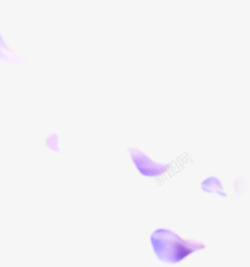 飘扬紫色花瓣素材