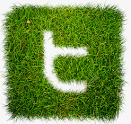 推特草Grassweb20icons图标png_新图网 https://ixintu.com Grass twitter 推特 草