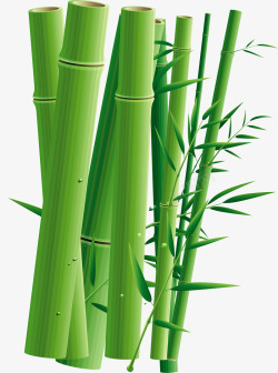 端午节竹子竹筒竹叶素材