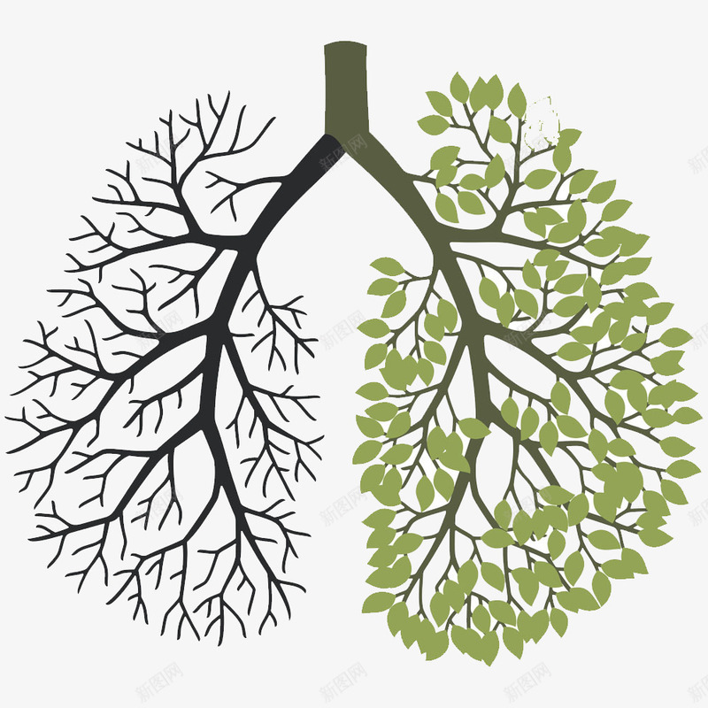 被香烟损害的肺部png免抠素材_新图网 https://ixintu.com 危害健康 吸烟后的肺部对比图 患病的左肺部 肺部创意 肺部图案