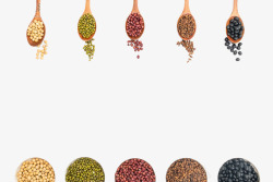 红豆免抠五谷杂粮高清图片