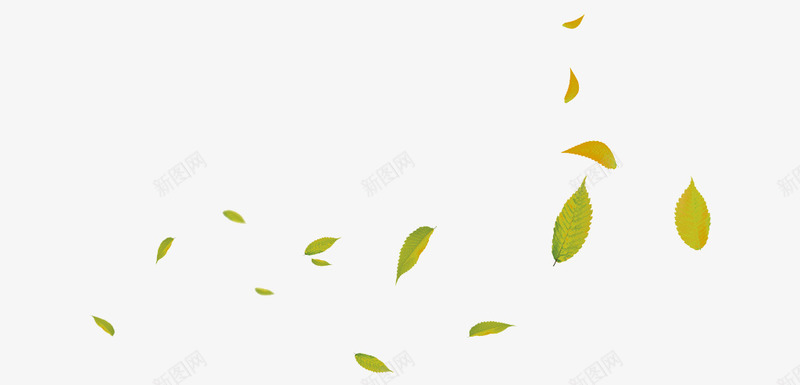 落叶装饰图案png免抠素材_新图网 https://ixintu.com 叶子 图案 落叶 落叶装饰 飘落的叶子