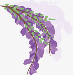 紫色的薰衣草矢量图素材