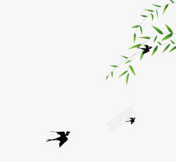 三只燕子春季绿色的柳叶飞翔的燕子高清图片