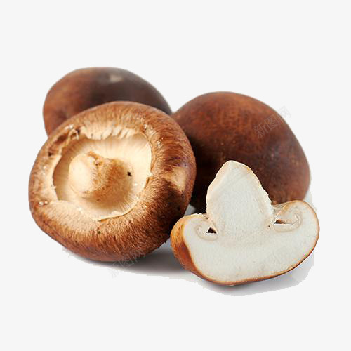 菌菇香菇png免抠素材_新图网 https://ixintu.com 产品实物 切开的香菇 新鲜香菇 香菇