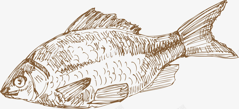 鱼矢量图eps免抠素材_新图网 https://ixintu.com 手绘 线条 餐饮 鱼 矢量图