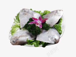 粤菜饭店海报四条放在盘子中的鲳鱼高清图片