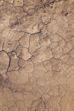 干裂大地干旱土壤裂纹高清图片