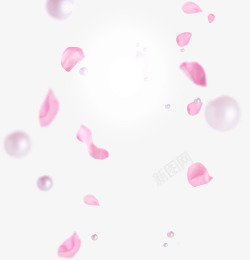 珍珠海报粉色花瓣珍珠海报背景高清图片