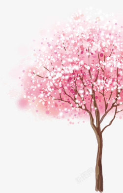 浪漫树樱花树高清图片