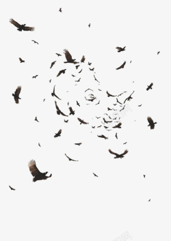 黑色剪纸图案飞翔的乌鸦高清图片