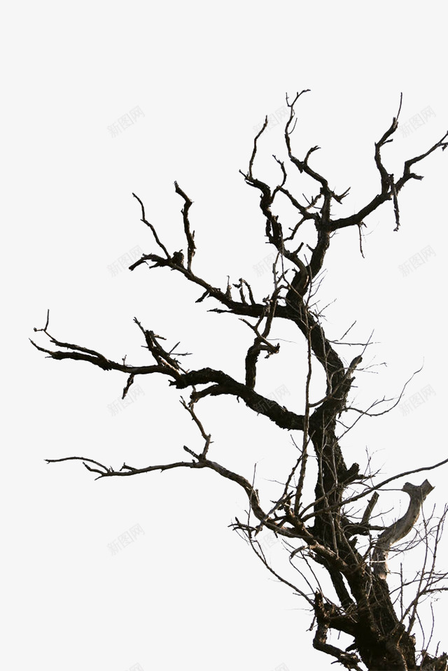 简单缠绕的树枝图标png_新图网 https://ixintu.com 枝丫 枝叶 柳条 树林 树根 简单 缠绕的树枝 自然景色 质朴