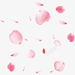一朵粉色的小花粉色樱花花卉花瓣高清图片