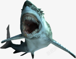 张口张口的鲨鱼高清图片
