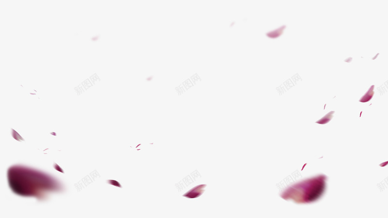 紫色清新花瓣漂浮png免抠素材_新图网 https://ixintu.com 免抠PNG 清新 漂浮 漂浮素材 紫色 花瓣