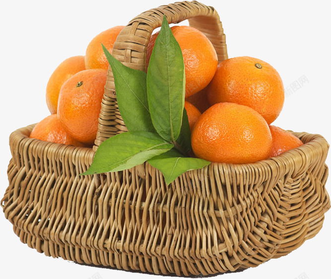 一筐新鲜的橘子png免抠素材_新图网 https://ixintu.com 一筐橘子 新年橘子 新鲜的橘子 柑橘 橘子 水果 绿叶
