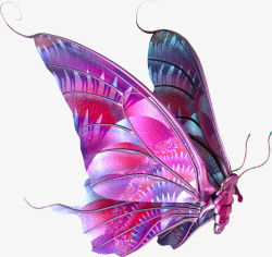 五只彩色的透明背景蝴蝶高清图片