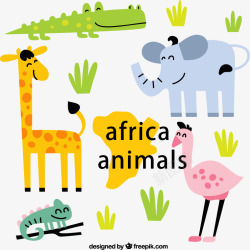 非洲野生动物非洲动物高清图片