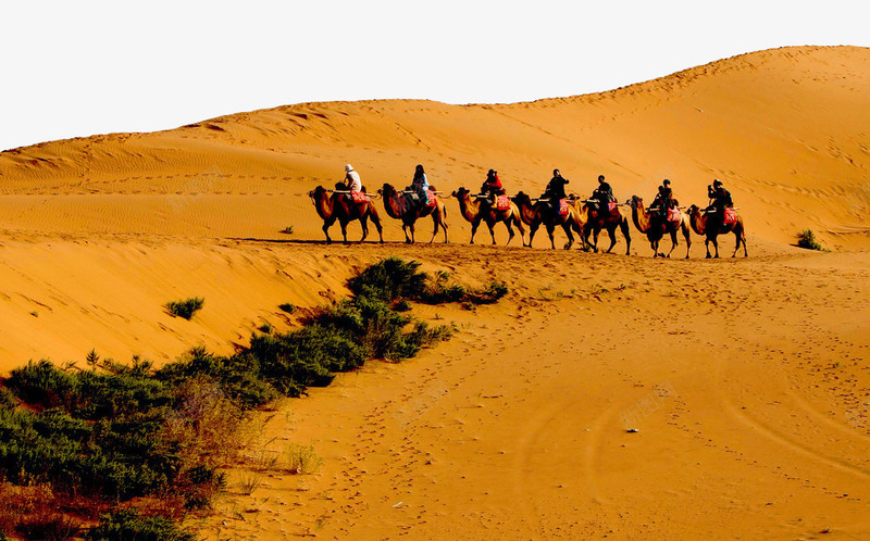 沙漠骆驼与人png免抠素材_新图网 https://ixintu.com 动物 大沙漠 极限环境 环境 黄沙