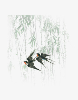 精美的翅膀唯美精美树条燕子柳条树叶高清图片