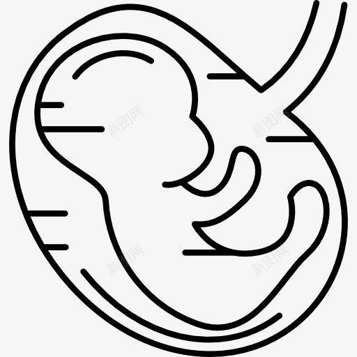 胎儿图标png_新图网 https://ixintu.com 医疗 妊娠 怀孕 母性 解剖 身体部位