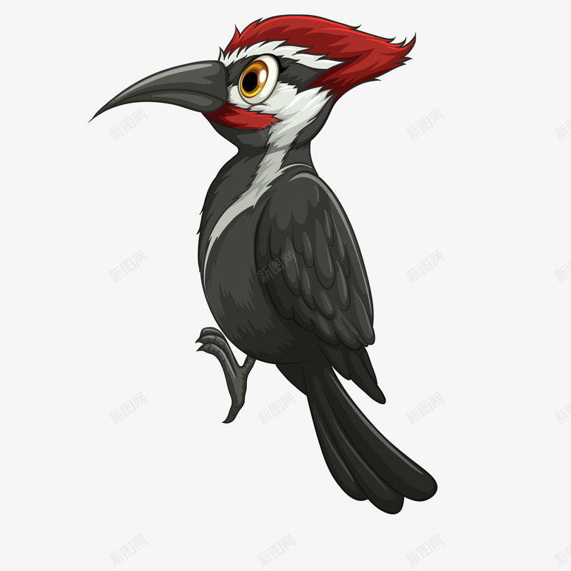 卡通黑色的鸟类动物矢量图ai免抠素材_新图网 https://ixintu.com 动物园 动物设计 卡通 森林 鸟类 黑色 矢量图