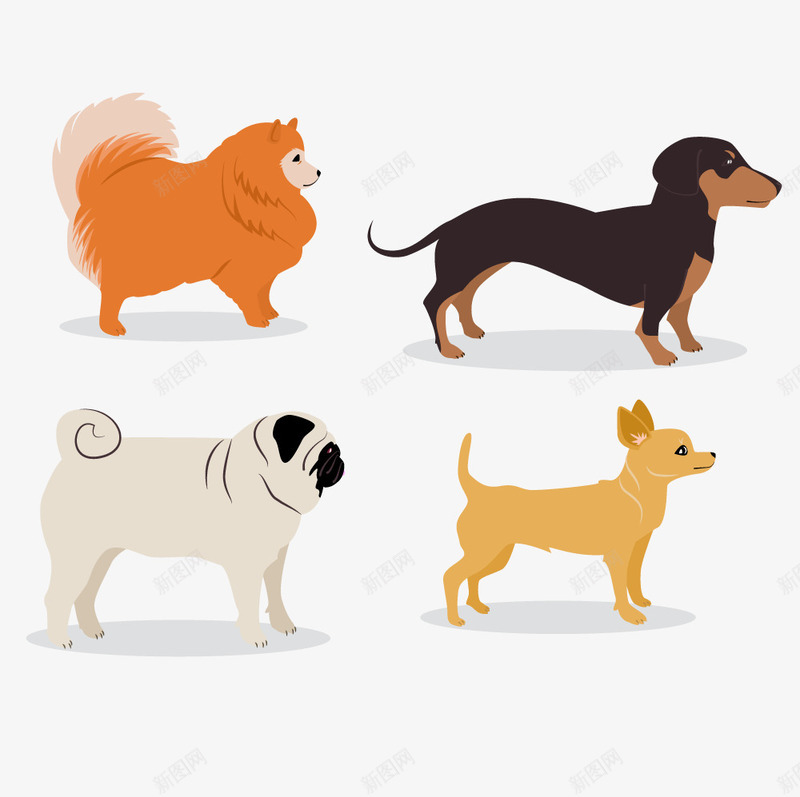 四种类型的小狗侧面png免抠素材_新图网 https://ixintu.com 侧面 小狗