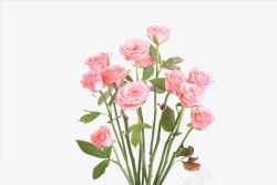 清新浪漫粉色花朵素材