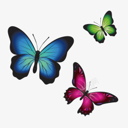 荧光漂浮物海报素材飞舞的蝴蝶高清图片