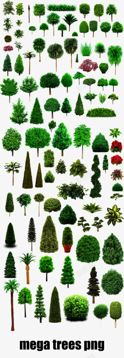 矢量树木合集树木绿色大树合集高清图片