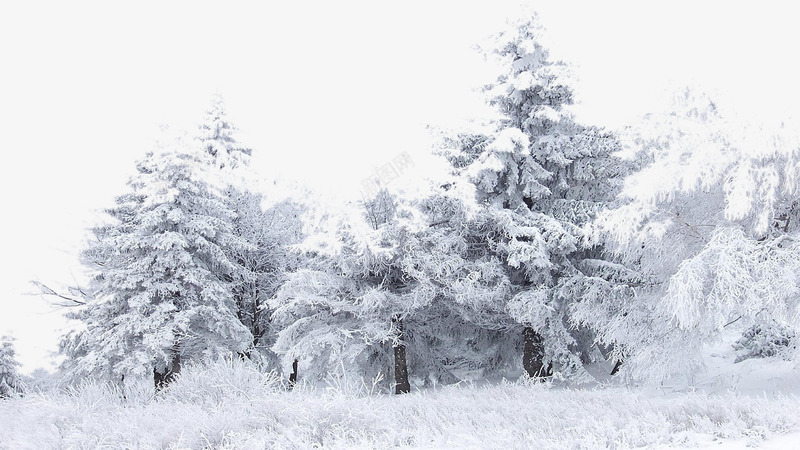 大雪png免抠素材_新图网 https://ixintu.com 大雪 覆盖 雪字体 雪花