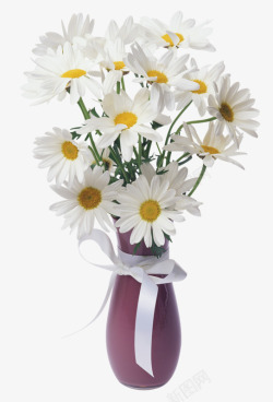 花瓶中的花朵洋甘菊插花高清图片